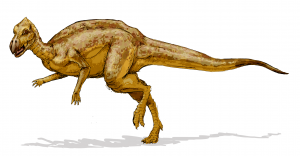 Micropachycephalosaurus shortest dinosaur names
