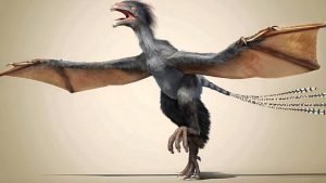 yi dinosaur names