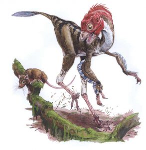 mei dinosaur names