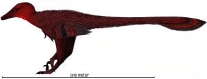 Shanag mini dinosaur names